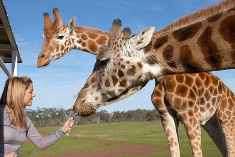 Melbourne City Card (2 Days): Visit Unlimited Attractions! - VIC Tourism 1