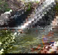 Litchfield National Park and Jumping Crocodile Cruise - VIC Tourism