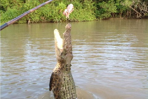 Litchfield National Park And Jumping Crocodile Cruise - VIC Tourism 2