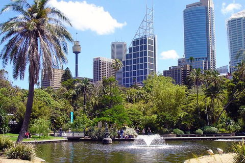 Private Sydney Half Day Tour Including Sydney Opera House And Bondi Beach - VIC Tourism 4
