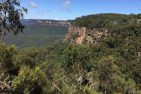 Full-Day Private Blue Mountains Tour With River Cruise - VIC Tourism 1