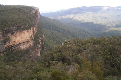 Full-Day Private Blue Mountains Tour With River Cruise - VIC Tourism 3