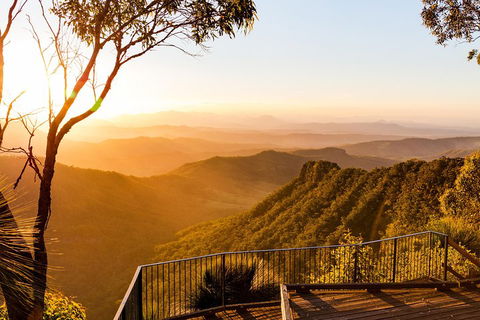 O'Reilly's & Lamington National Park Incl. Alpaca Farm + Vineyard - VIC Tourism 0