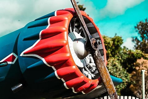 O'Reilly's & Lamington National Park Incl. Alpaca Farm + Vineyard - VIC Tourism 1