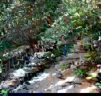 Fraser Island 4WD Tour from Rainbow Beach - VIC Tourism