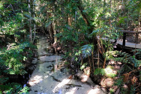 Fraser Island 4WD Tour From Rainbow Beach - VIC Tourism 0