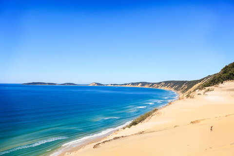 Kayak With Dolphins And 4WD Great Beach Drive Day Trip From Noosa - VIC Tourism 0