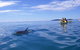 Kayak With Dolphins And 4WD Great Beach Drive Day Trip From Noosa - thumb 2