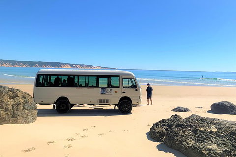 Kayak With Dolphins And 4WD Great Beach Drive Day Trip From Noosa - VIC Tourism 4