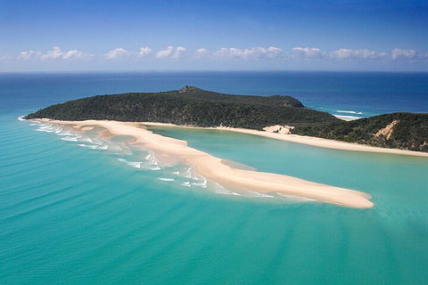 Kayak With Dolphins And 4WD Great Beach Drive Day Trip From Noosa - VIC Tourism 5