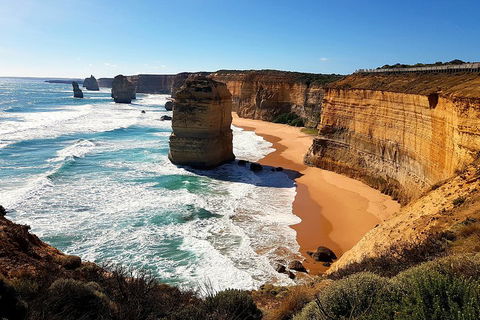 Helicopter Flight + Fine Dining Private Luxury Great Ocean Road Tour - VIC Tourism 4