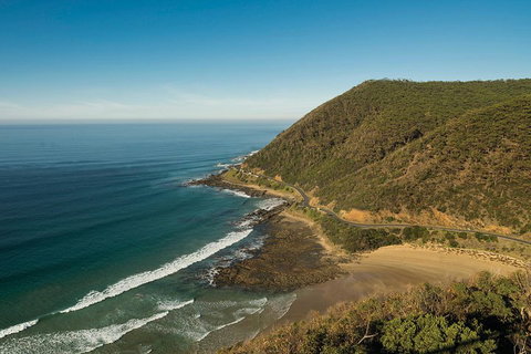 Great Ocean Road Adventure - Private Tour - Reverse - VIC Tourism 2