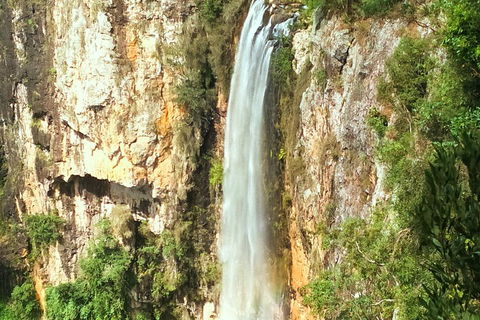Natural Arch, Rainforest & Volcano Canyon - Private Half Day Tour - VIC Tourism 2
