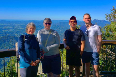 Natural Arch, Rainforest & Volcano Canyon - Private Half Day Tour - VIC Tourism 3