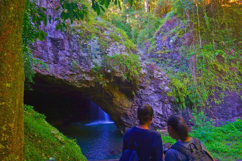 Natural Arch, Rainforest & Volcano Canyon - Private Half Day Tour - VIC Tourism 4