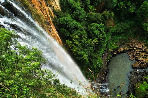 Natural Arch, Rainforest & Volcano Canyon - Private Half Day Tour - VIC Tourism 5
