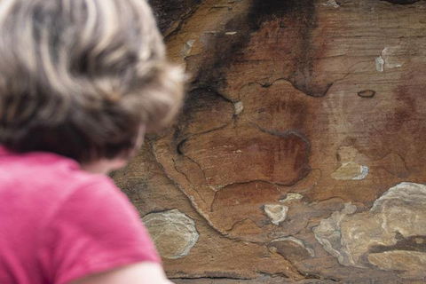 Sydney Private Tour Featuring Wilderness, Wildlife, Waves, Waterfalls And Wine - VIC Tourism 2