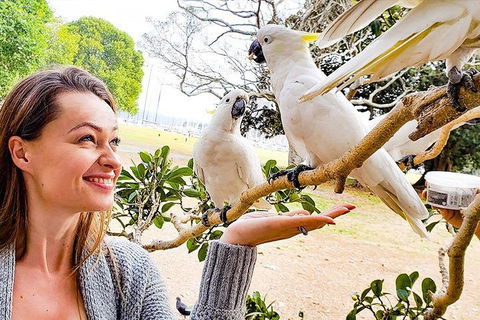 Sydney Private Tour Featuring Wilderness, Wildlife, Waves, Waterfalls And Wine - VIC Tourism 4