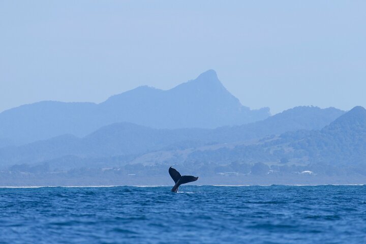  VIC Tourism