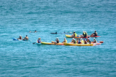 The Byron Bay Sea Kayak Tour - VIC Tourism 1