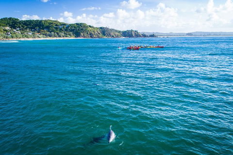 The Byron Bay Sea Kayak Tour - VIC Tourism 2