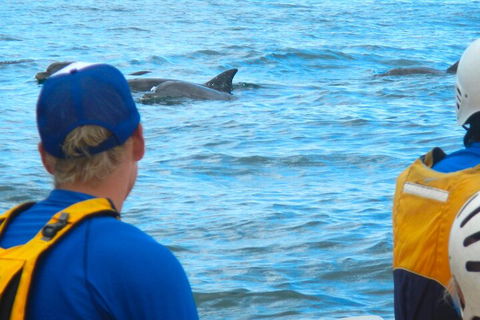 The Byron Bay Sea Kayak Tour - VIC Tourism 4