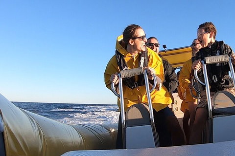 Noosa Oceanrider - Adventure Tour - VIC Tourism 0