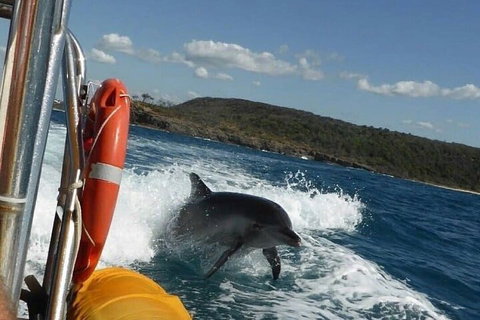 Noosa Oceanrider - Adventure Tour - VIC Tourism 1