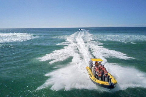 Noosa Oceanrider - Adventure Tour - VIC Tourism 2