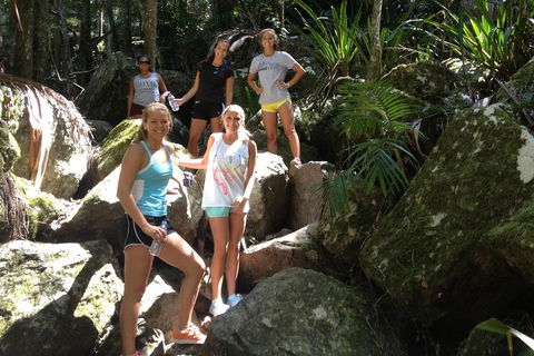 Byron Bay Hinterland Tour Including Rainforest Walk To Minyon Falls - VIC Tourism 3