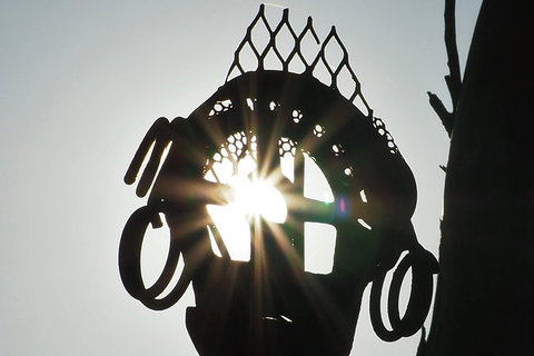 Wave Rock, Wild Flowers And Astro Photography - VIC Tourism 4