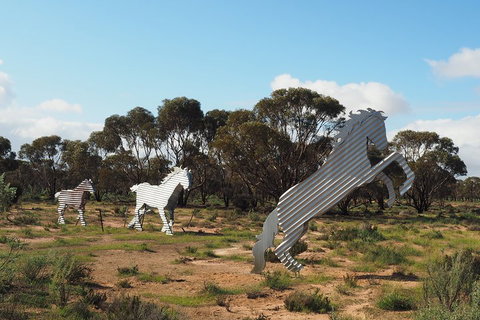 Wave Rock, Wild Flowers And Astro Photography - VIC Tourism 5