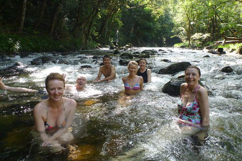 Daintree Rainforest, Cape Tribulation, Mossman Gorge Small-Group Day Tour - VIC Tourism 0