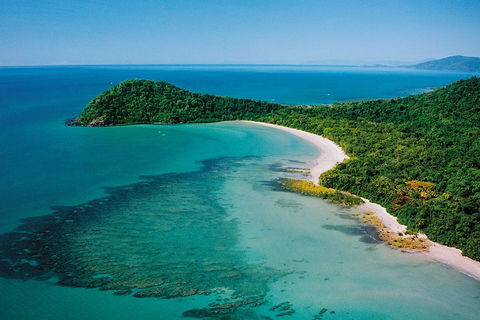 Daintree Rainforest, Cape Tribulation, Mossman Gorge Small-Group Day Tour - VIC Tourism 4