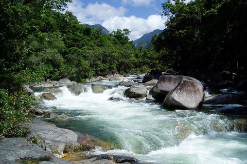 Daintree Rainforest, Cape Tribulation, Mossman Gorge Small-Group Day Tour - VIC Tourism 5