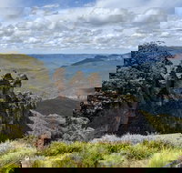 Blue Mountains Private Tour - wild kangaroos waterfalls and The Three Sisters - VIC Tourism