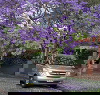 Sydney Secrets  Bondi Beach Private 4 Hr Morning with Personalised Sydney Tours - VIC Tourism