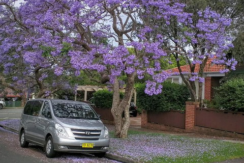 Sydney Secrets & Bondi Beach Private 4 Hr Morning With Personalised Sydney Tours - VIC Tourism 0