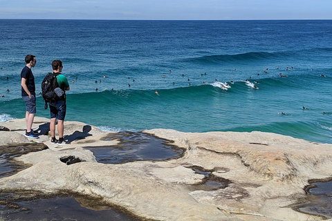 Sydney Secrets & Bondi Beach Private 4 Hr Morning With Personalised Sydney Tours - VIC Tourism 2