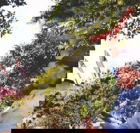 illi-Langi The Rocks Aboriginal Dreaming Tour - VIC Tourism