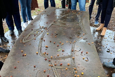 Illi-Langi The Rocks Aboriginal Dreaming Tour - VIC Tourism 4