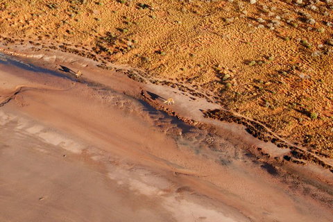 Scenic Flight: Lizard Safari - VIC Tourism 0