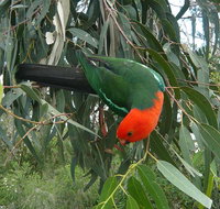 3-Day Private Adelaide to Melbourne tour - VIC Tourism