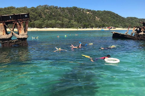 All Inclusive Dolphin And Tangalooma Wrecks Cruise - VIC Tourism 0