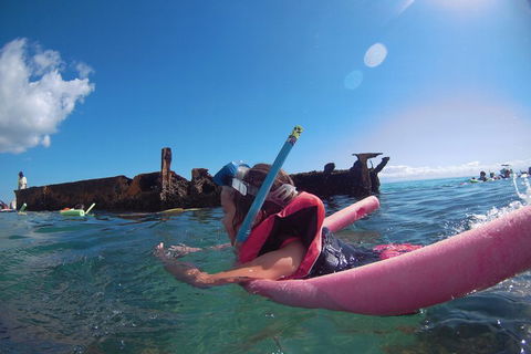 All Inclusive Dolphin And Tangalooma Wrecks Cruise - VIC Tourism 2