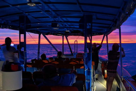 Darwin Sunset Cruise Including Fish 'n' Chips - VIC Tourism 1