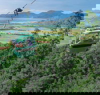 Kuranda Day Tour TKS-RFS GRAND GOLD PLUS 0930