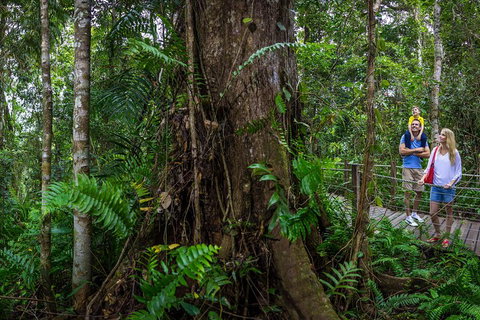 Kuranda Day Tour + HotAir Balloon Combo - VIC Tourism 3