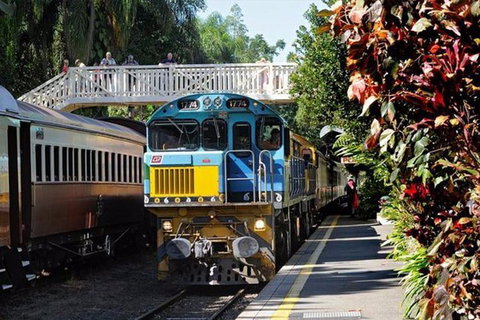 Kuranda Day Tour + HotAir Balloon Combo - VIC Tourism 4