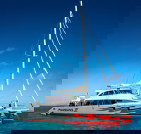 Passions of Paradise Great Barrier Reef Snorkel and Dive Cruise from Cairns by Luxury Catamaran - VIC Tourism